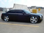IMPALA017.jpg